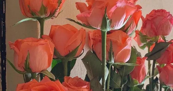 男女情愛,交織於,這三樣人生“好事”