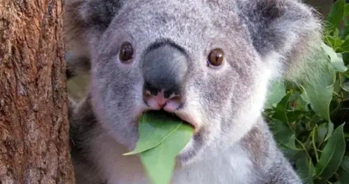 13個幽默笑話爆笑合集，讓你每日開心一笑，個個都值得收藏