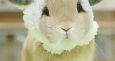 壓箱底的經典笑話，梗多笑點足，看完笑得肚子痛，發給大家解解壓