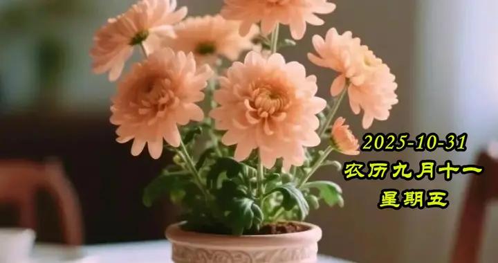 10月31日 星期五早安美圖|守護友情，珍惜朋友，感恩有你