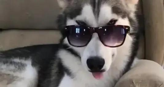 2025年最搞笑的幽默笑話，個個讓你笑到年底，我老婆笑得花枝亂顫