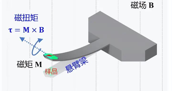 強大磁場中，如何聽見“磁心”的微弱跳動？中國科學家給出答案