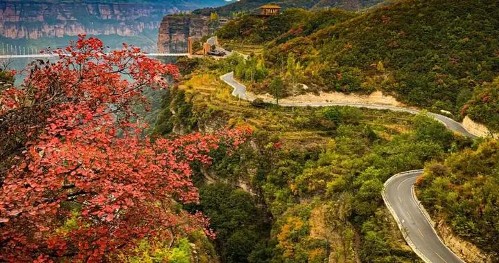 稱霸北方！11月秋色天花板，7天6晚性價比超高，再不出發就晚了