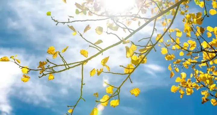 這些常見食材,是深秋平補好物