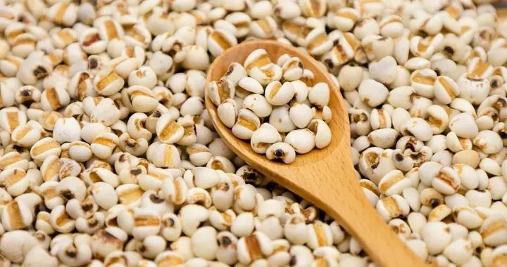 告別“反彈式減肥”！調養好臟腑，瘦身更持久