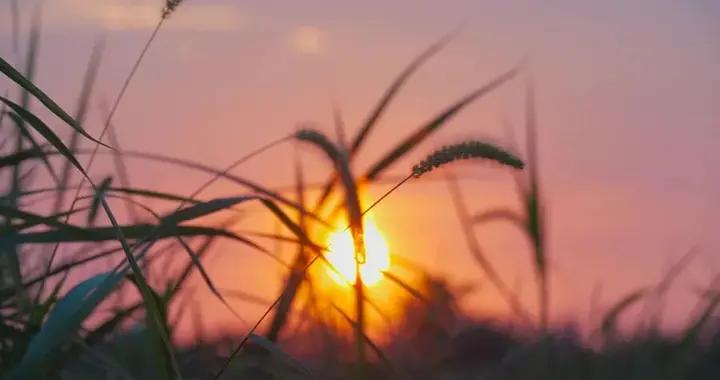 中醫治感冒的六大名方，收藏備用