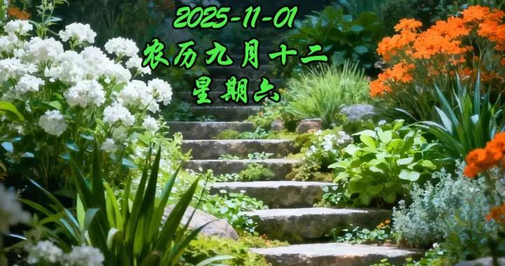 週六早安問候美圖|十一月安康|幸福讓人享受，友情讓人回味