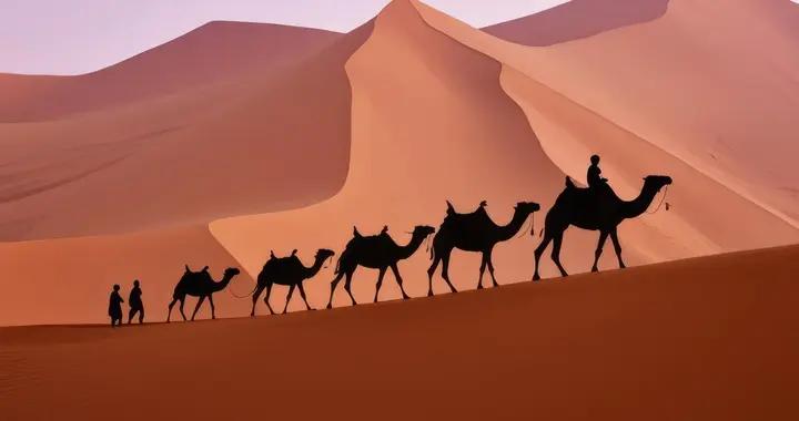 散文·沙漠駱駝 沙海之舟