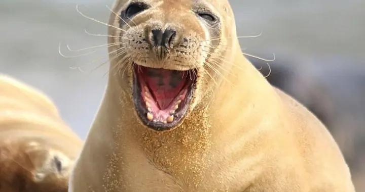 十一到了，送你11個絕版爆笑幽默笑話，發給大家樂一樂