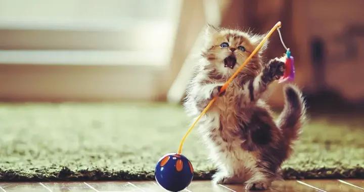 11個最新爆笑段子,笑點拉滿,笑到靈魂出竅,專治各種不開心