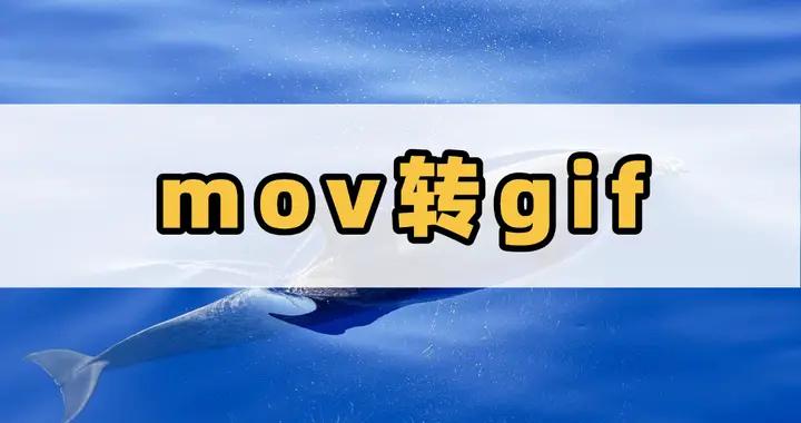 mov怎麼轉成gif格式？看這裏，一文快速解決