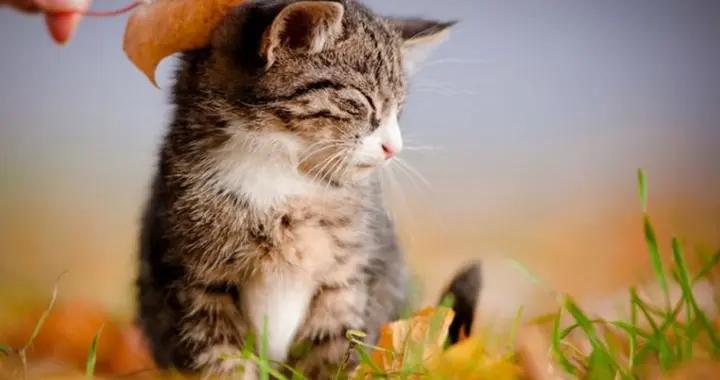 笑死人不償命的幽默笑話,每日開心一笑!讓你下半年在歡樂中度過