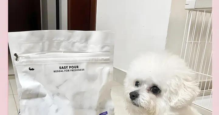 美士狗糧怎麼樣？好不好？平替糧怎麼選？