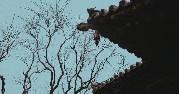 老祖宗的原話是這樣，別再說錯了