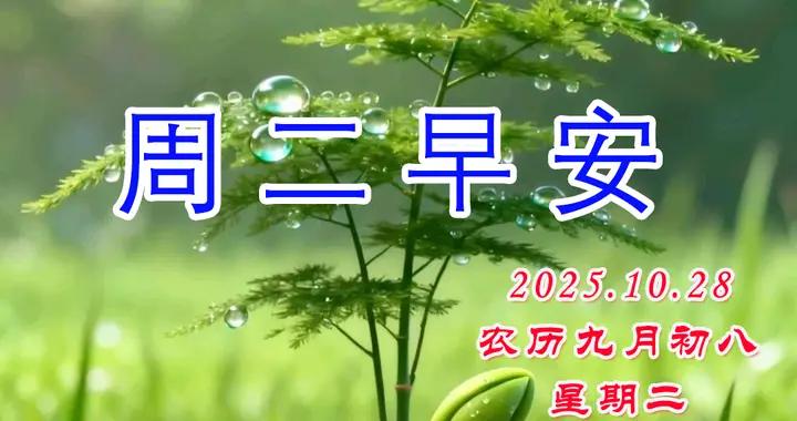 週二早安問候美圖|每一個清晨，都是快樂的開始