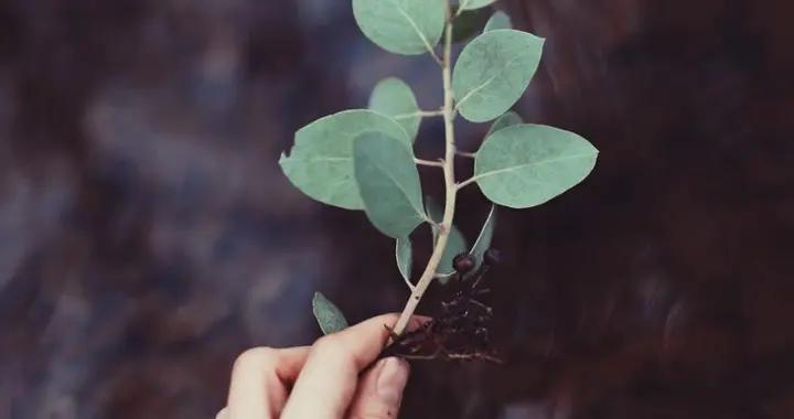 你越擔心什麼，什麼就越控制你