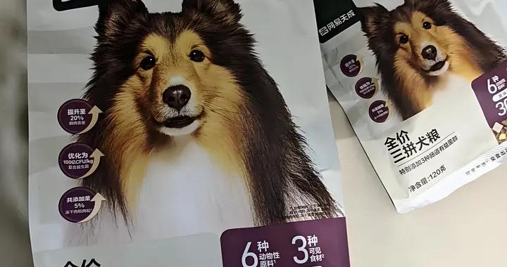 網易天成狗糧怎麼樣?好不好?平替糧怎麼選?