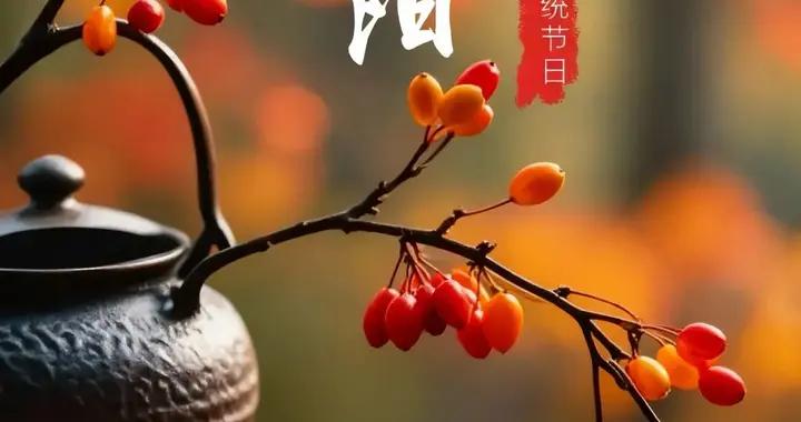 秋風明月，人間九月。一年好景，最是重陽。