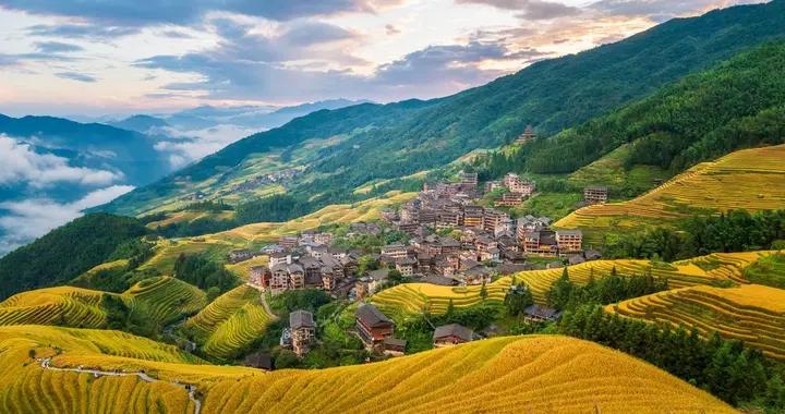 在金黃詩行裏，邂逅龍脊梯田的秋色之美