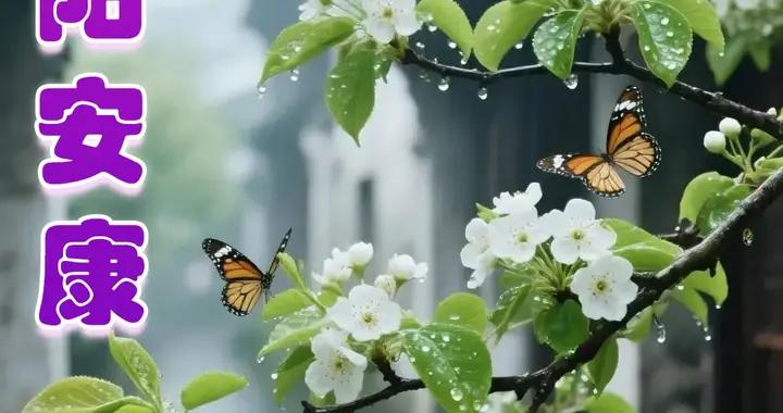 重陽佳節祝福美圖|祝重陽佳節，幸福歡樂，願天下父母，歲歲長安