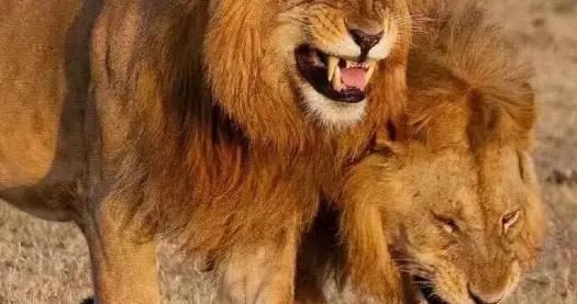 11個超有意思的幽默笑話段子，笑一笑十年少，祝您笑口常開