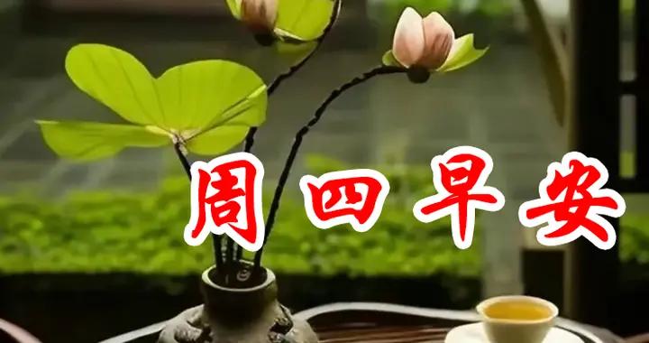 週四早安問候美圖|共度平安互牽掛，珍惜今生這份緣