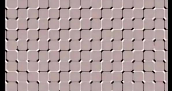 AI看不到的愛心，成了最棒的AI檢測器。