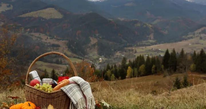 陪孩子秋遊後的頓悟：家長們，真的，這些東西給孩子帶上