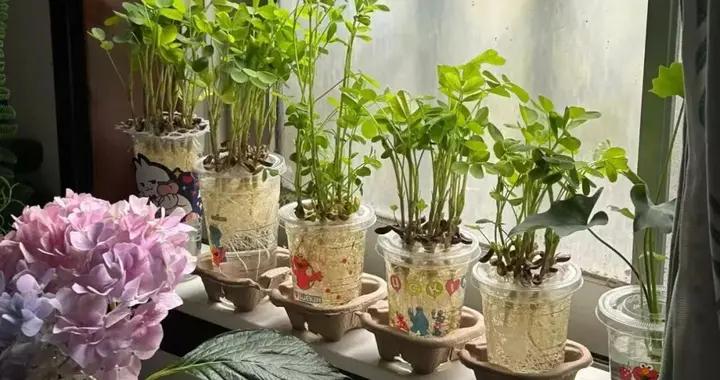 1代人有1代人的破爛！難怪年輕人都愛攢冰美式杯子，用途竟這麼廣