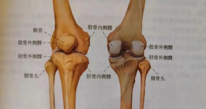 走路時膝蓋突然“軟”一下，別以爲是累了，或許是這些疾病的信號