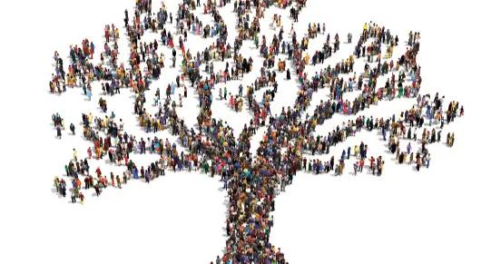 如果不是中國特色，哪有我們今天這麼成功的中國特色社會主義道路？