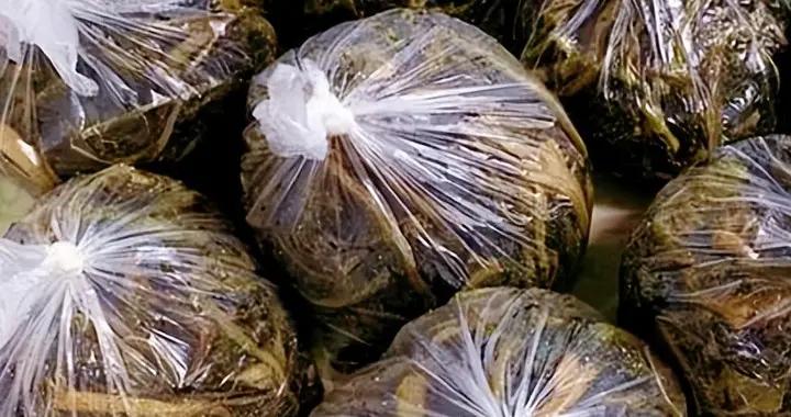 深秋，碰到此菜別手軟，一次買30斤曬乾存儲起來，冬天燉肉喫真香