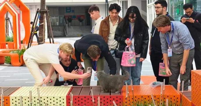 社區沒有牆？荷蘭00後參訪團在這個社區蹲下來拍小貓