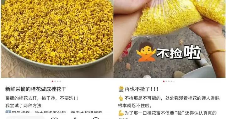 這兩天，上海滿城都是！千萬不要隨便喫