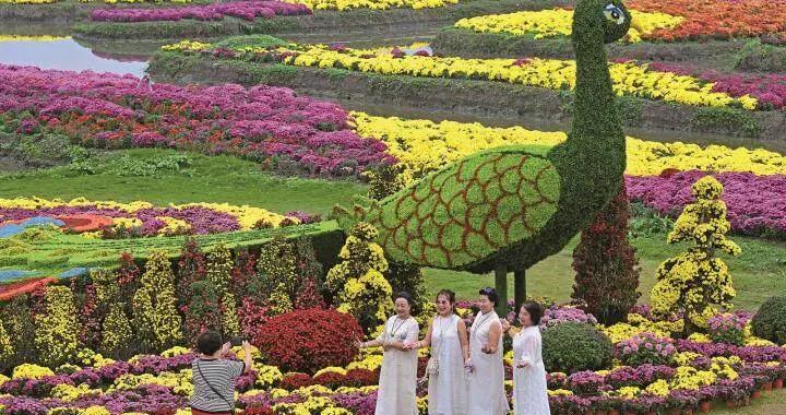 七彩流“蘇” 秋日有約