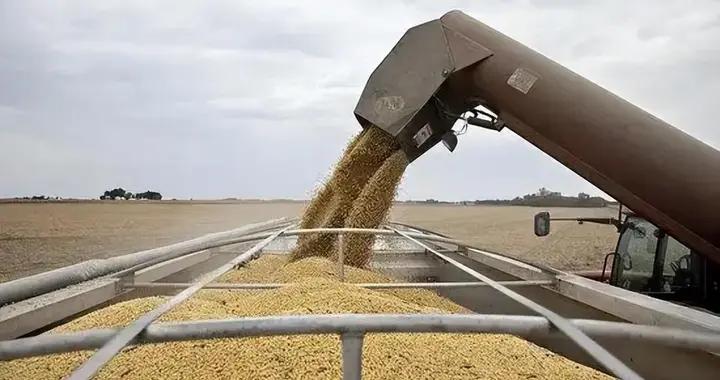 18萬噸美豆背後的中美貿易暗戰，特朗普關稅堡壘現裂痕！