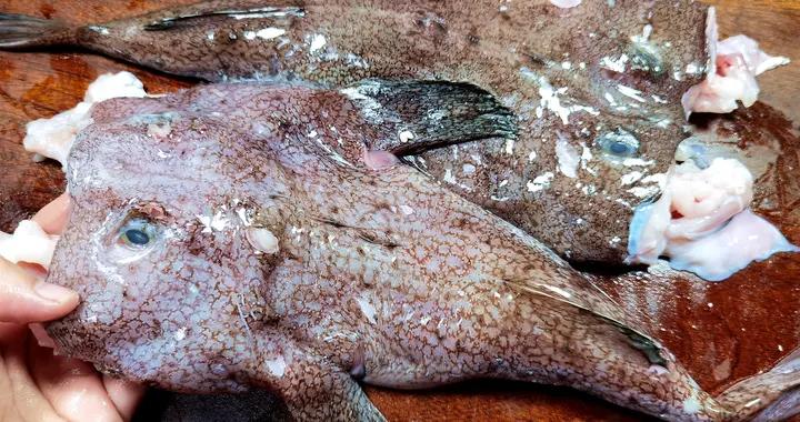 比牛羊肉還“補”！這3種魚纔是“秋補高手”，富含硒，清淡滋養