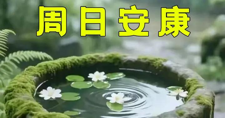 早安週日美圖|祝您和老伴兒身體康健，笑口常開，日子越過越甜