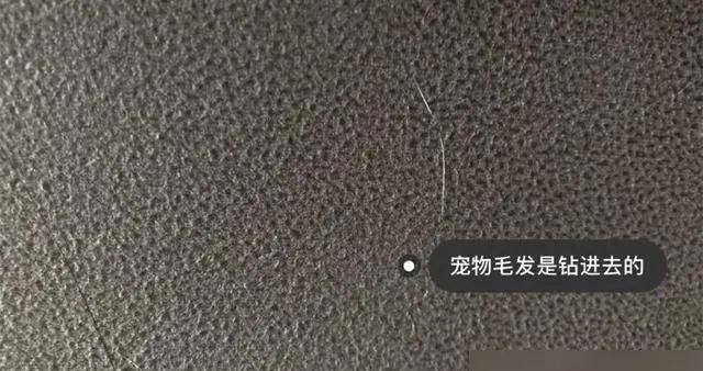 科技布沙發值不值得買？作爲第一批用戶，談談我的真實使用感受