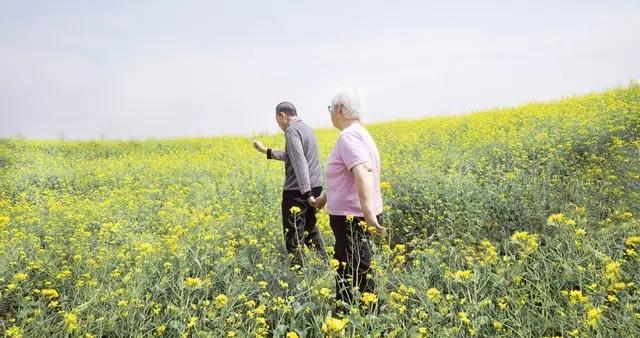 退休後能儘早去旅遊的就儘早去，否則拖到最後乾着急，哪也去不了