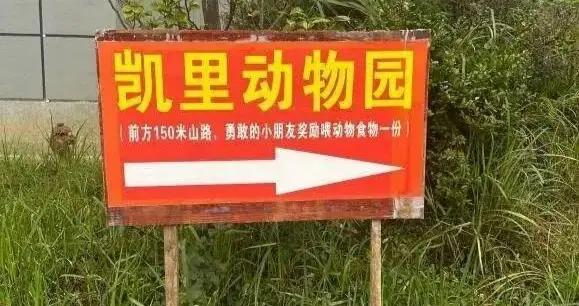 微言 | 靠真誠火遍全網，深山裏的動物園運營難題如何破解？