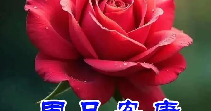 週日早安問候美圖|問候依然天天有，微信代我送吉祥。