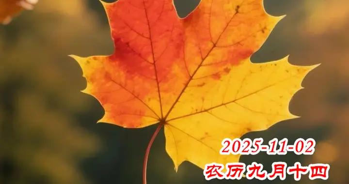 星期一早安美圖|送一份心意，美美滿滿，送一份快樂，健健康康