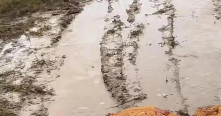 秋收結束就要秋種，今年卻被連續降雨打亂了