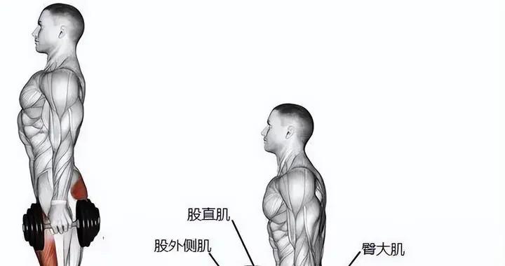 10個深蹲不如5個弓步蹲！堅持弓步蹲的5大好處