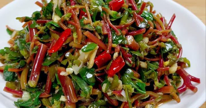 春天遇到這菜別手軟，比薺菜還鮮，可惜很多人當草，不懂喫真可惜