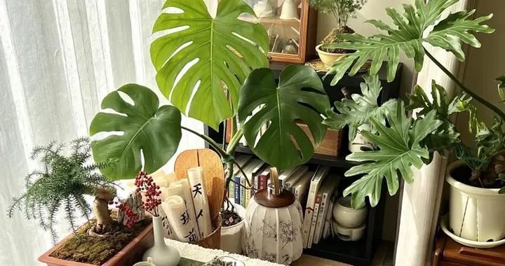 物業不讓砸飄窗，網友分享的做法很絕！顏值實用兼顧，效果太棒了