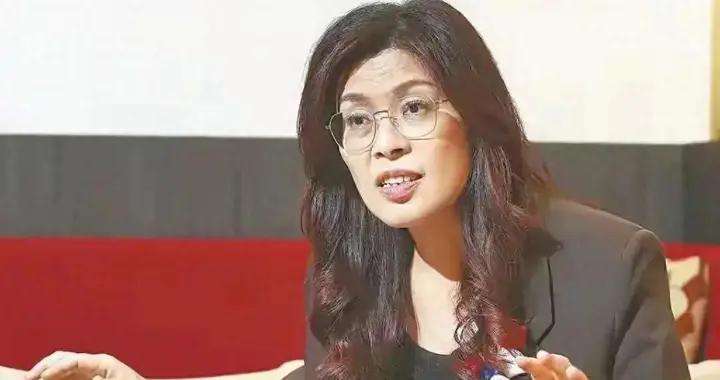 鄭麗文訪陸確定，國民黨暗流湧動，盧秀燕當出頭鳥，民進黨出手了