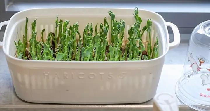 曬曬我家用了2年的10件“廚房寶貝”，顏值高還實用，真值得買！