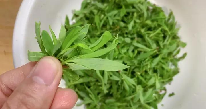 4月，遇到這菜別錯過！比薺菜還鮮嫩，農村遍地都是，錯過等一年